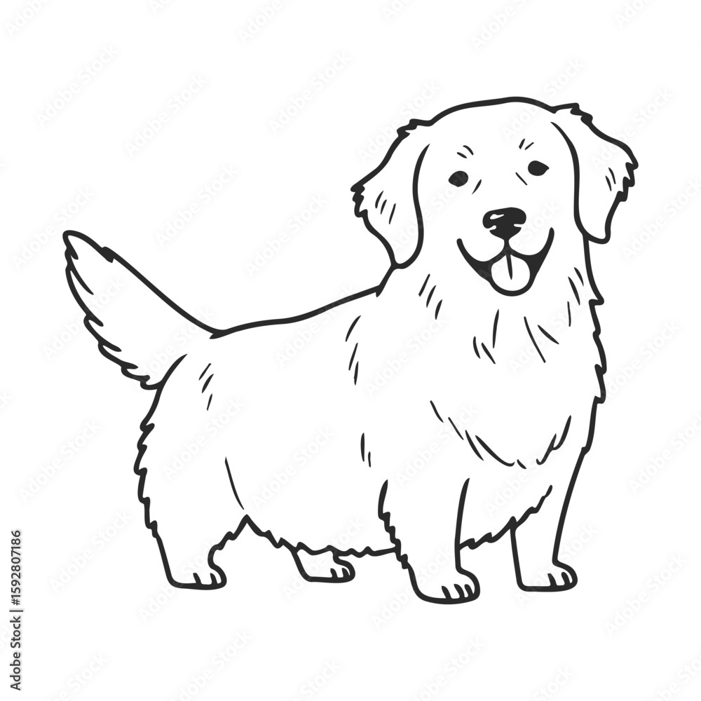 Fototapeta premium Smiling golden retriever line art illustration on white background
