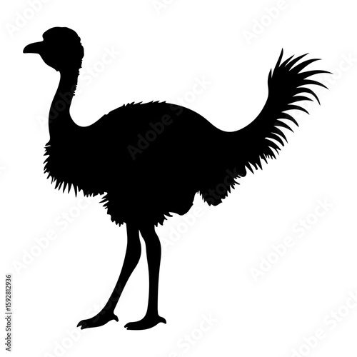 Ostrich or Emu Large Bird Silhouette Vector