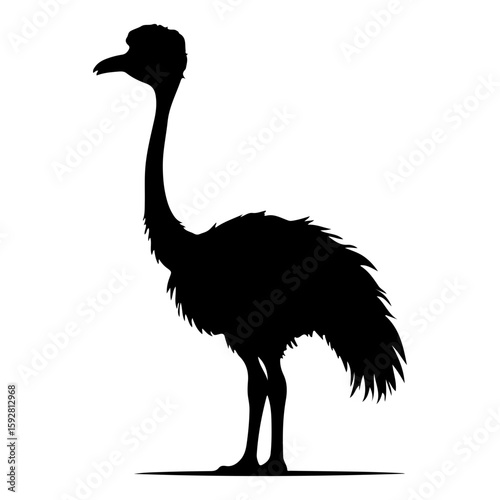Ostrich or Emu Large Bird Silhouette Vector