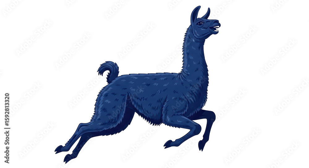 Obraz premium Isolated Llama