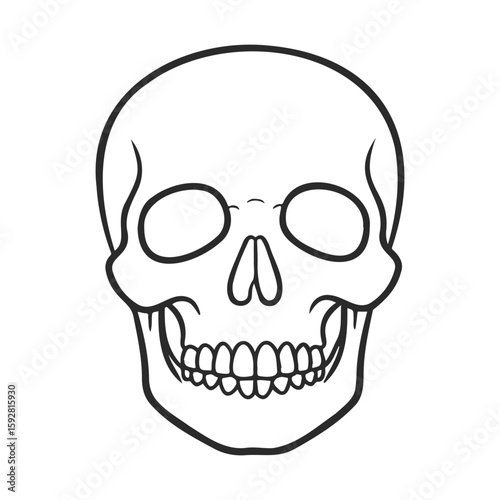 Simple black and white human skull line art illustration