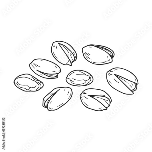 Hand-drawn pistachio nuts arrangement in black and white