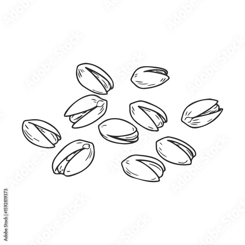 Hand-drawn pistachio nuts illustration in black and white
