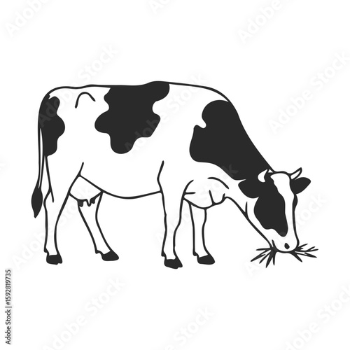 Black and white cow silhouette eating grass