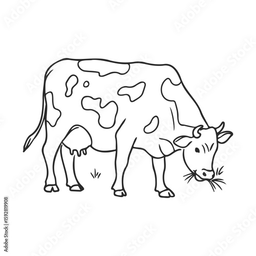 Black and white line drawing of a cow grazing on grass