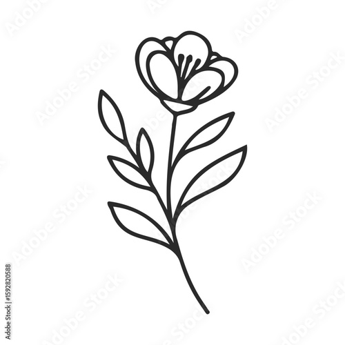 Elegant black and white floral line art illustration with intricate details