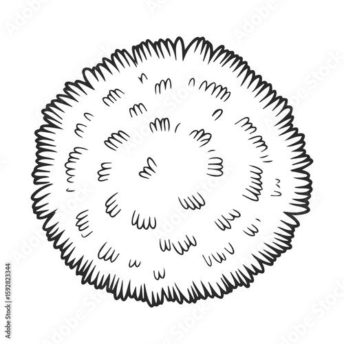 Black and white illustration of a fluffy circular object with textured details