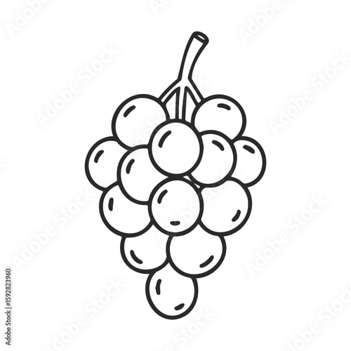 Simple line drawing of grape cluster on white background