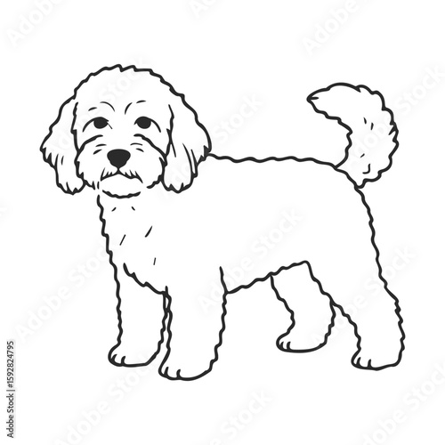 Outline drawing of a cute fluffy dog with curly tail and shaggy fur