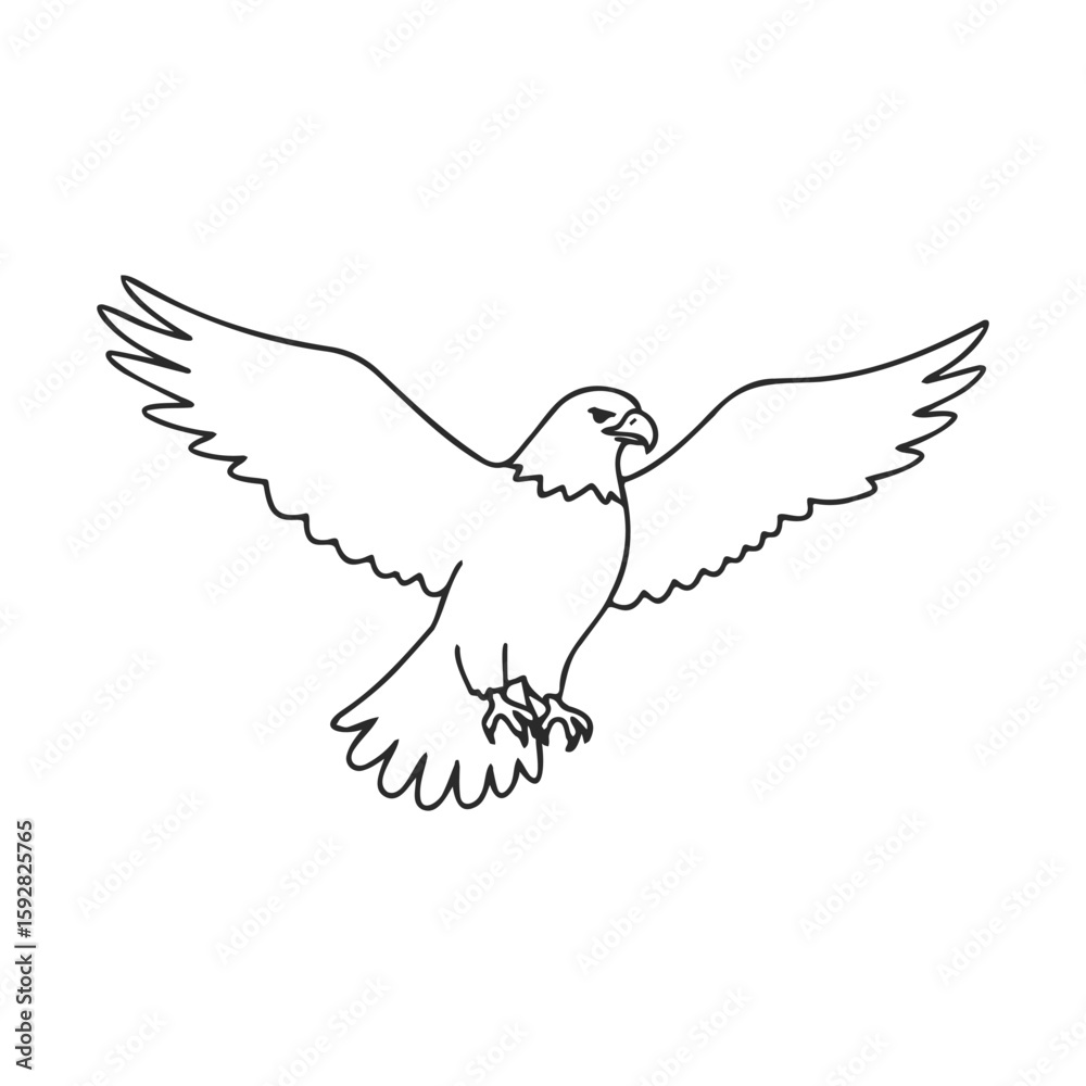 Fototapeta premium Line art of a flying eagle with outstretched wings