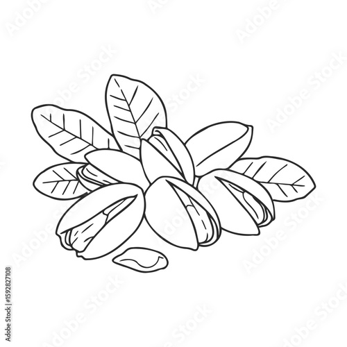 Black and white pistachios image with leaves