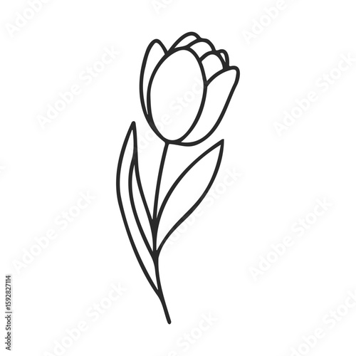 Simple black and white tulip line art drawing with leaf details