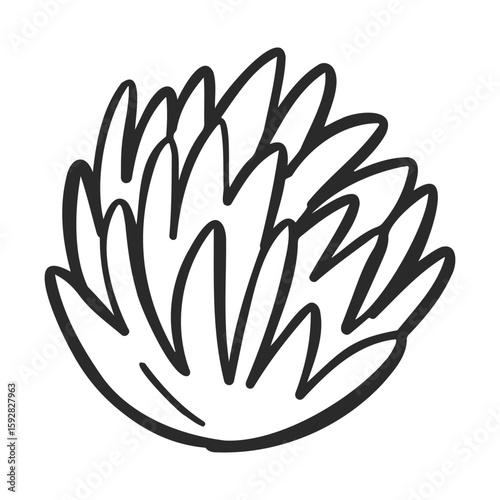 Black and white illustration of a bushy plant with sharp leaves