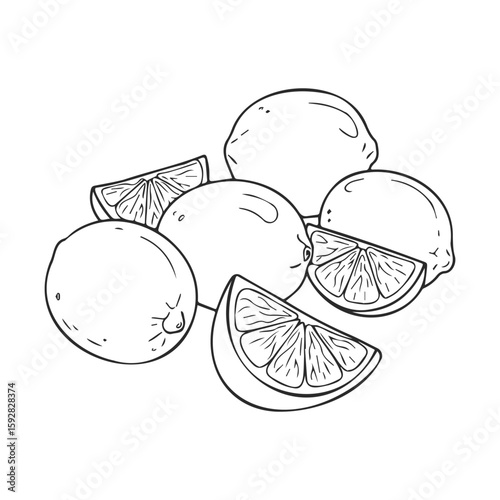 Black and white line art of whole and sliced lemons