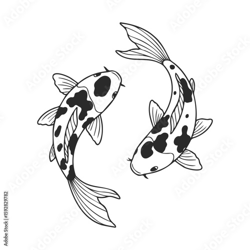 Black and white koi fish yin yang illustration