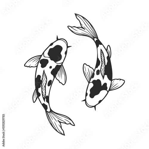 Black and white koi fish illustration with detailed patterns in circular motion