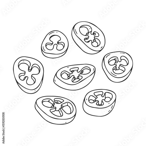 Hand-drawn black and white tomato slices illustration on white background