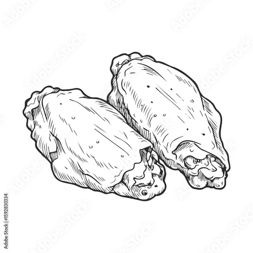 Hand-drawn oyster shell illustration with detailed textures