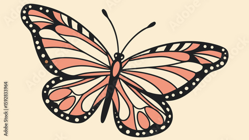 Monarch butterfly with peach and cream wings insect nature