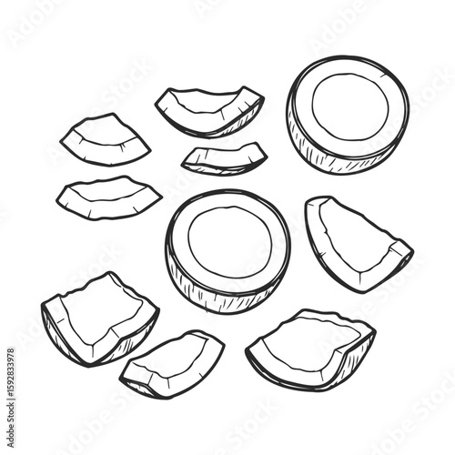 Monochrome coconut pieces on white background