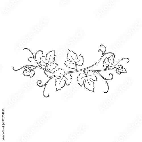 Intricate vine border design with leaves and elegant swirls