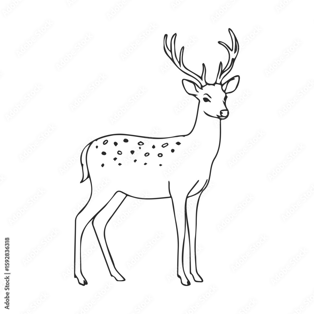 Fototapeta premium Simple black and white deer line art with antlers and spotted back