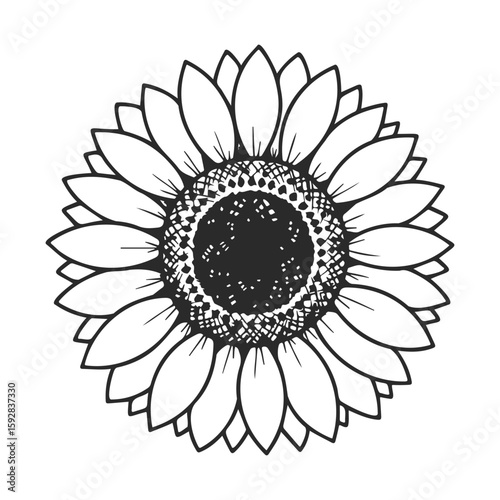 Black and white sunflower illustration with detailed petals and center design