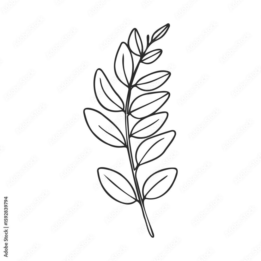 Obraz premium Outline of simple leafy branch with multiple leaves