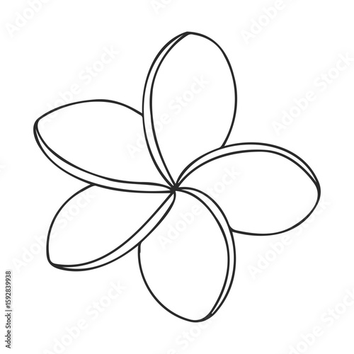 Black and white plumeria outline drawing with five petals