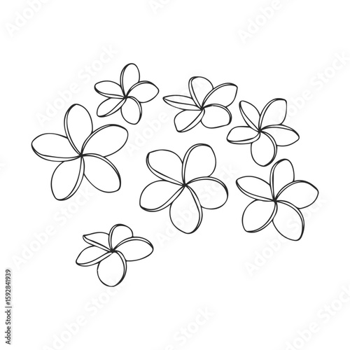 Outline of seven hand-drawn plumeria flowers for coloring