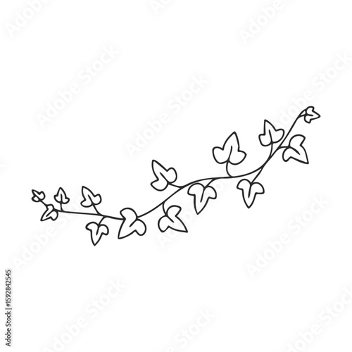 Simple black line drawing of ivy vine with heart-shaped leaves