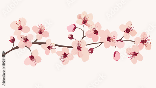 Elegant Cherry Blossom Branch Bloom: Showcase Delicate Pink Petals