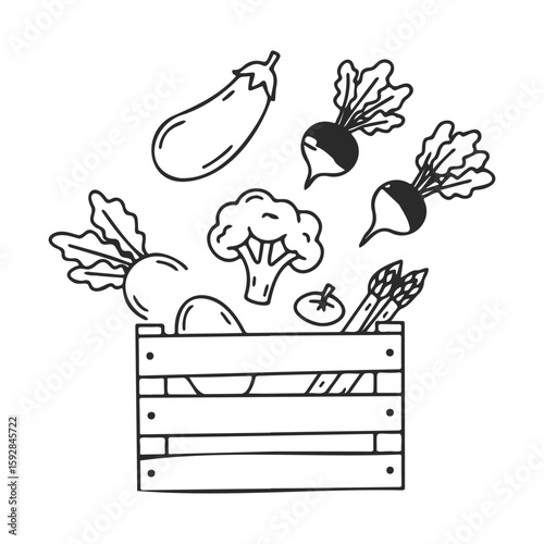Hand-drawn vegetables in wooden crate: eggplant, broccoli, radishes, tomato, asparagus