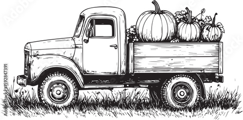 Hand-Drawn Pickup Truck and Gourds