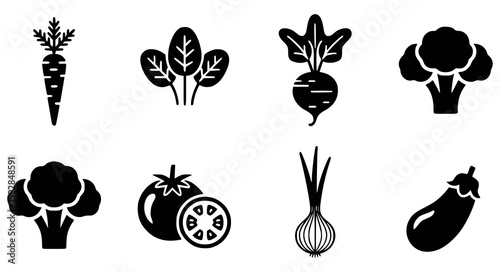 Carrot spinach beet broccoli tomato onion eggplant icons vector