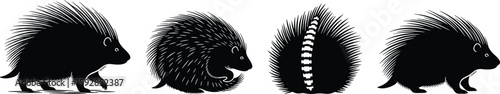 This artistic illustration showcases a set of porcupine