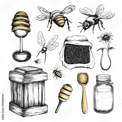 Vintage Beekeeping Tools Sketch Set