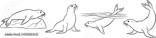 Four playful seals are depicted in a