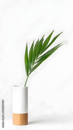 Single Palm Leaf in Minimalist Ceramic Vase on White Background