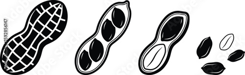 Vector line drawing of peanuts in various styles