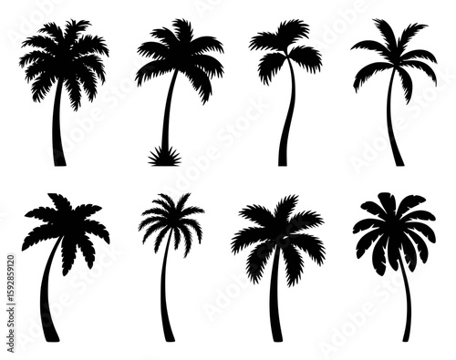 Diverse silhouettes of palm trees with varied frond shapes and trunk curves black