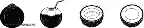 The drawing features four coconuts in different poses