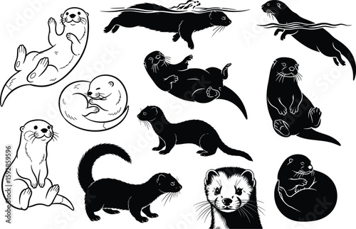 Charming vector illustration showing a set of playful otters