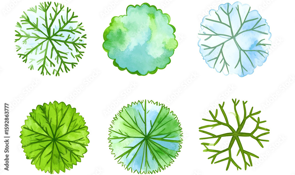 Set of Watercolor Trees