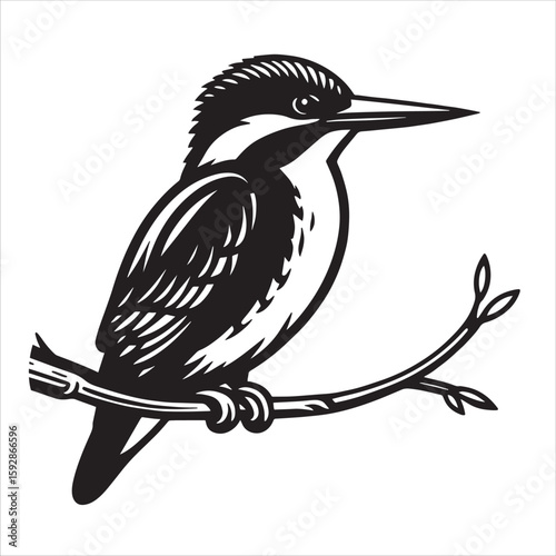 King fisher svg