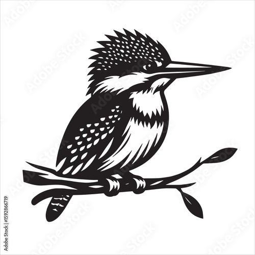 King fisher svg