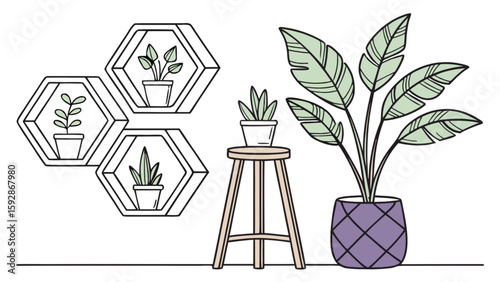 Indoor plants in pots on shelves and stool home decor botanical illustration line art vector design