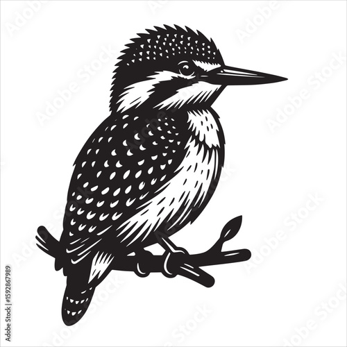 King fisher svg