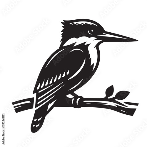King fisher svg