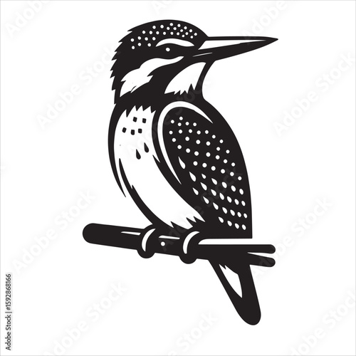 King fisher svg
